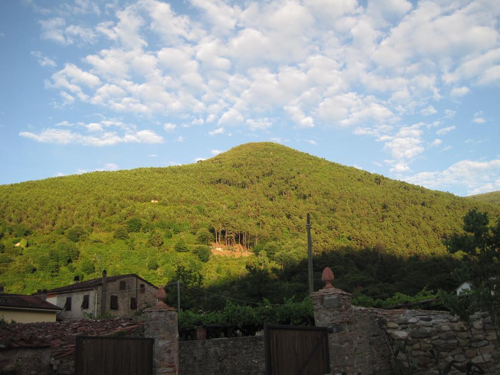 B&B Il Villano Capannori Luaran gambar