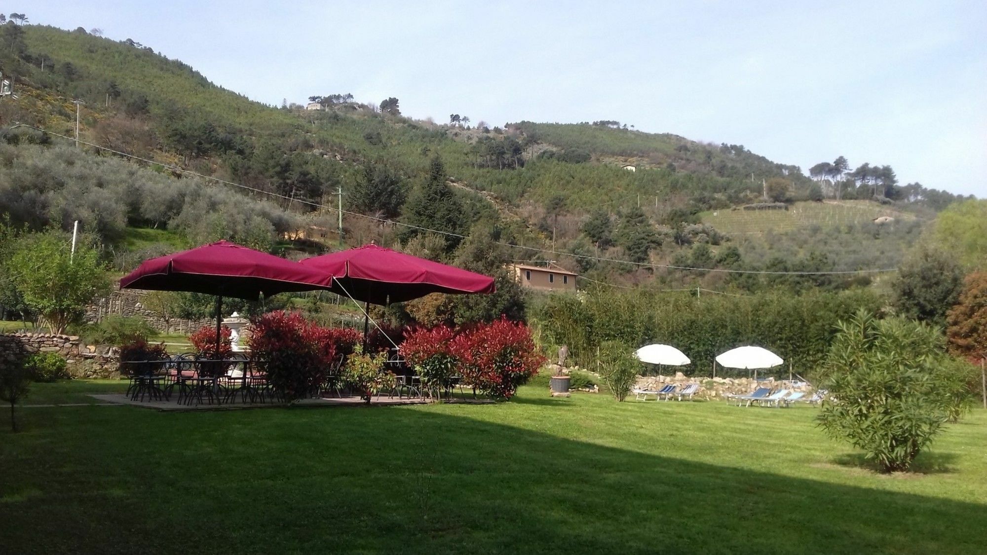 B&B Il Villano Capannori Luaran gambar